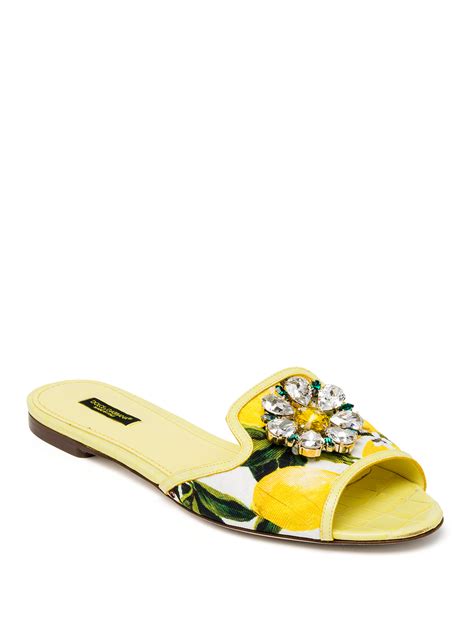 dolce gabbana slide sandals|dolce gabbana sandals lemon.